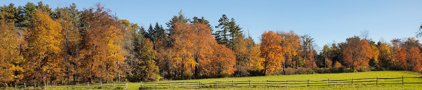 Hero Banner of Fall Foliage Treeline at Sturbridge Village